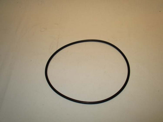 O-Ring, Large, FP25 - Riverside Pumps