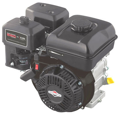 Small Engines  Briggs & Stratton